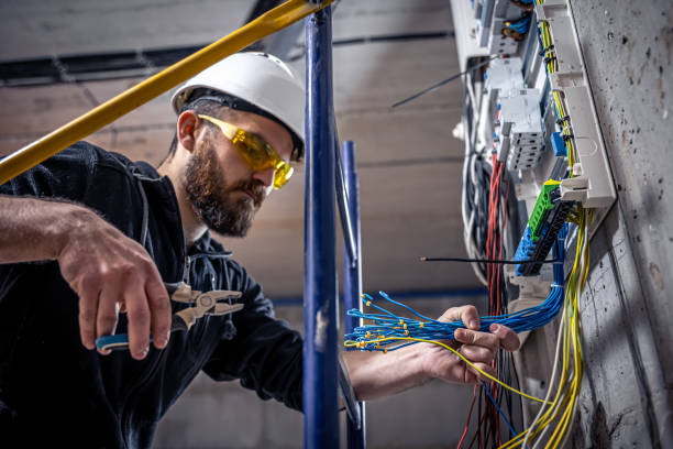 Best Ceiling Fan Installation Electrician  in Shoreview, MN